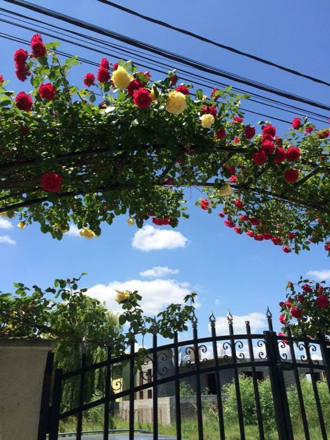 Vila Ελλάδα คอสติเนช ภายนอก รูปภาพ
